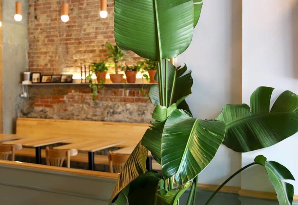 Cafe Jouney