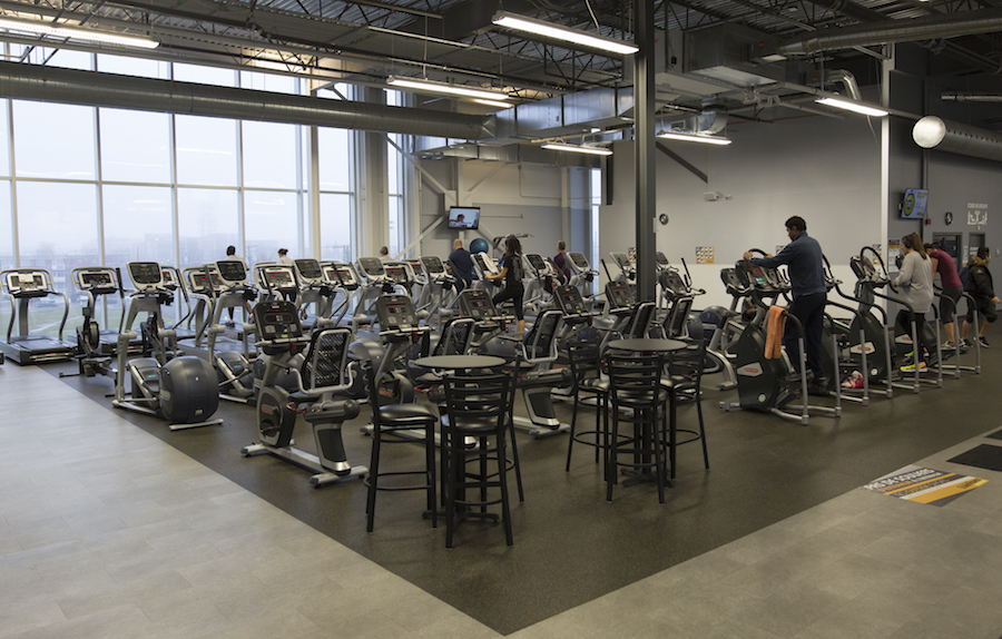 herd_econofitness_selection_51